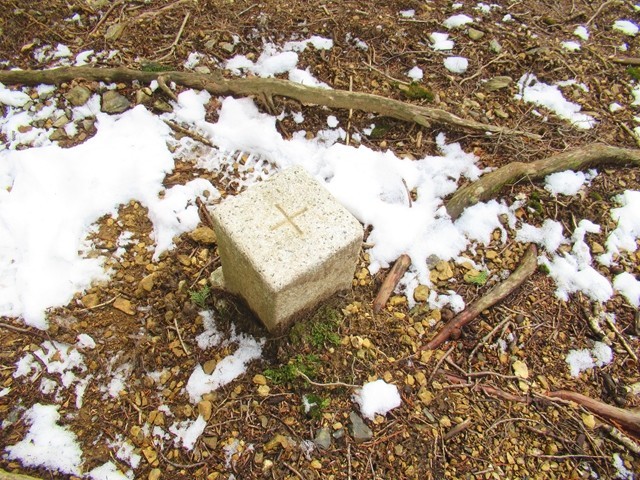 赤指山の三角点