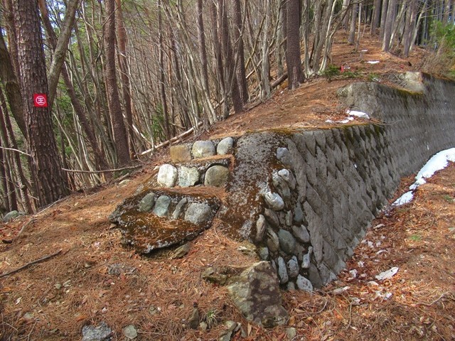 赤指山方面を振り返っての写真