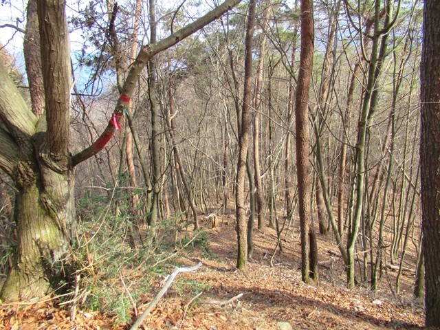 再度赤指尾根に入る所のマーキング