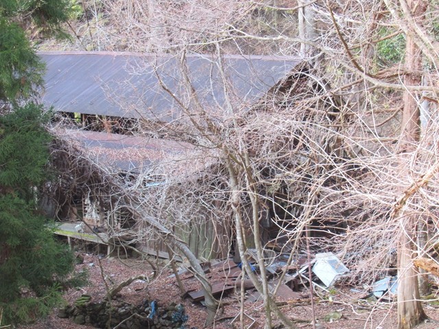 高修寺奥多摩廃墟建物