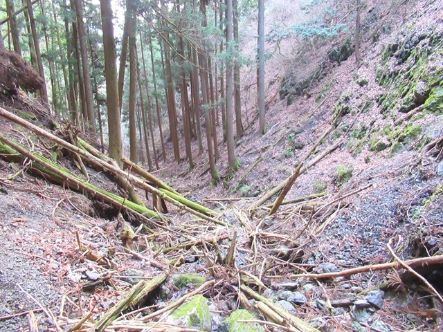 小留浦ルート昔は登山道だった