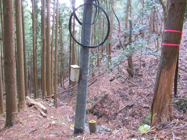 高修寺へ電気を供給していた電柱