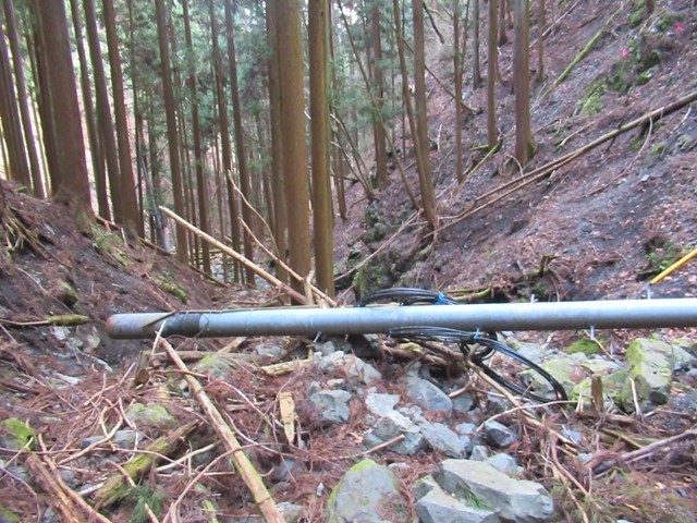 小留浦登山コース道がない廃道