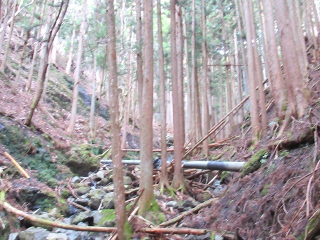 小留浦登山道