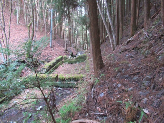 小留浦の旧ワサビ田