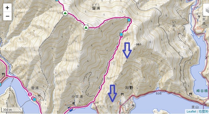 小留浦廃道ルートと標高差地形図