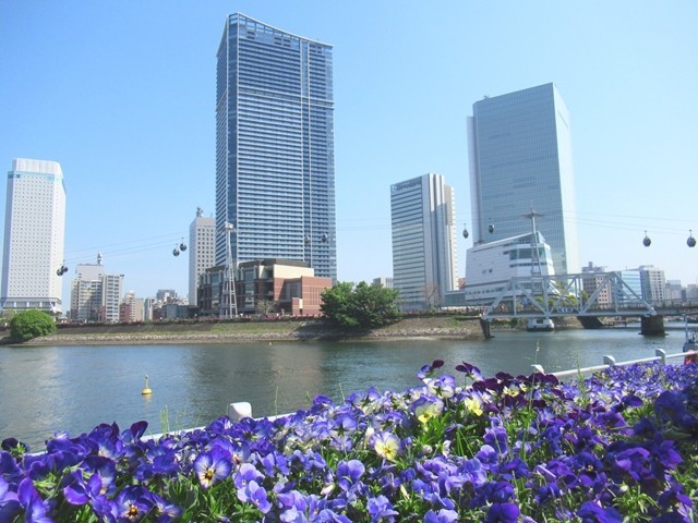 カフェドゥラプレス近くの横浜景色