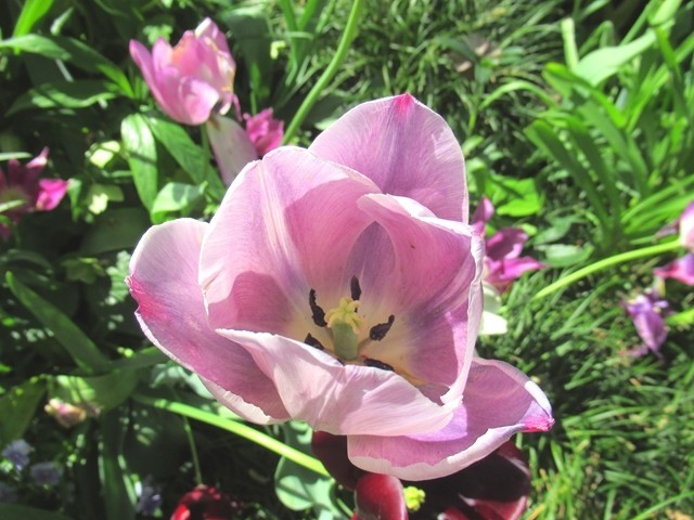 カフェドゥラプレス横浜眼下の景色