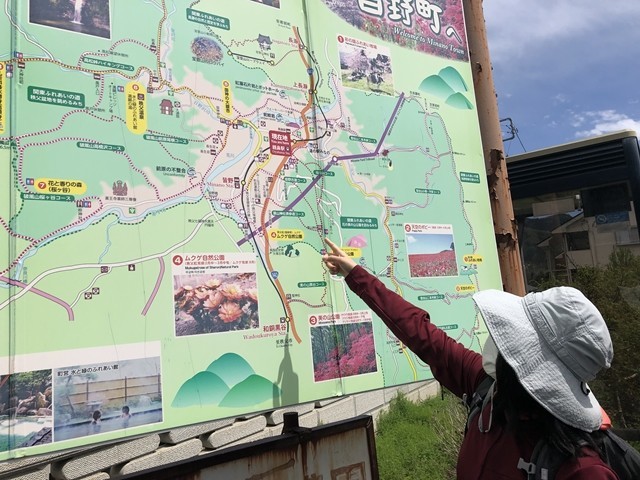 親鼻駅周辺の観光スポット