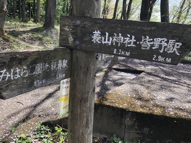 蓑毛神社まで直接登れるコース分岐