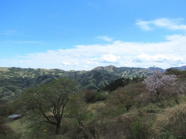 蓑山・美し山公園から外秩父七峰縦走ハイキング大会のコースを遠望