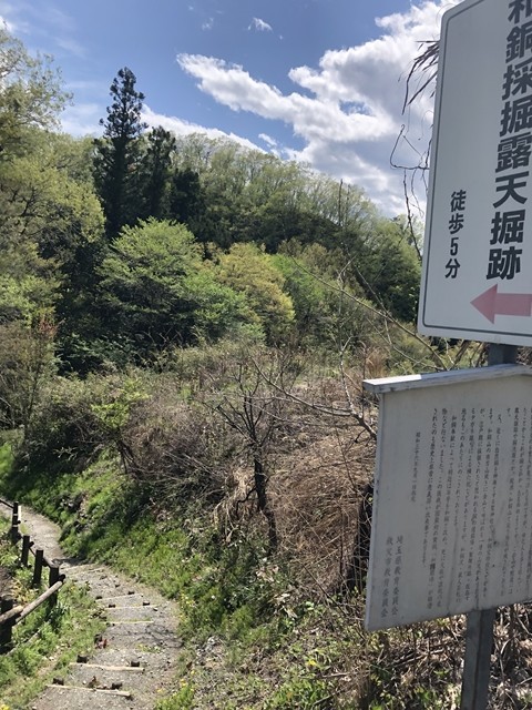 和銅採掘露天掘り跡の分岐