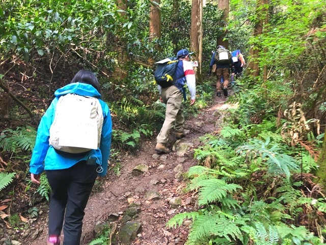 外秩父七峰縦走ハイキング大会の官ノ倉山急登