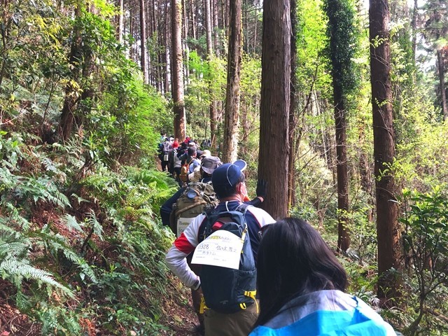 登山道の混雑具合様子