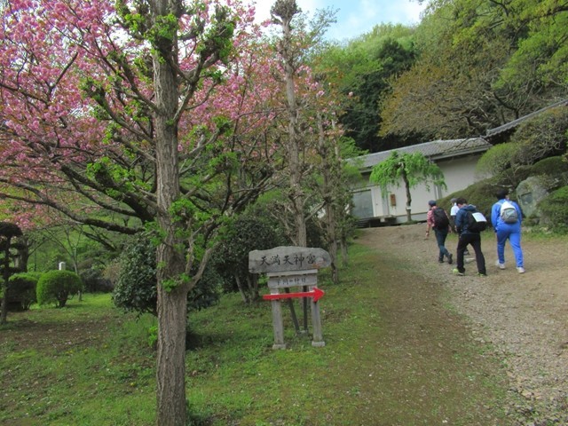 東秩父村和紙の里はお花