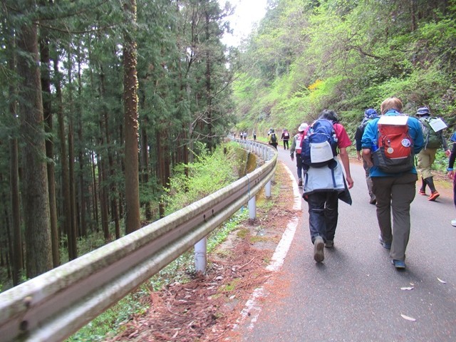 堂平山までの登山道林道歩きルートの様子