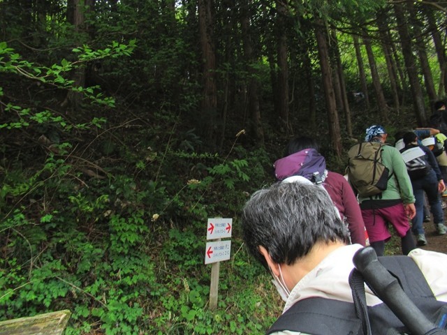 林道歩き登山者の渋滞
