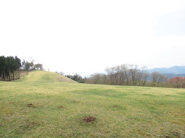堂平山の山頂直下景色