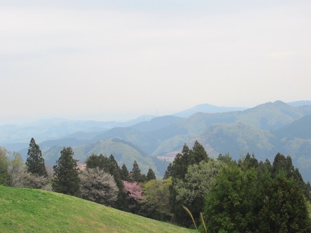 彩の国ふれあい牧場からの景色