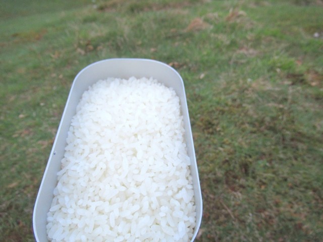 メスティンで炊飯完了しチタン皿の登場