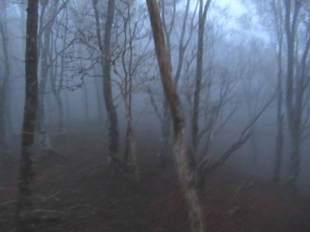 台高山脈笹ヶ峰