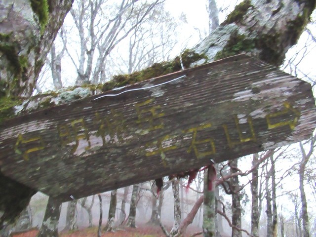 千石山へのルートド道標