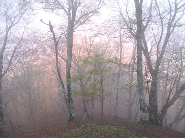 台高山脈ご来光