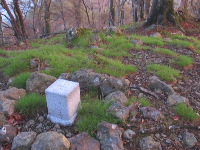 仙石山(奥ノ迷峰)山頂