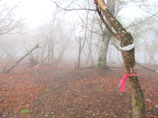 仙石山から赤グラ山(池木屋山)方面下りルート