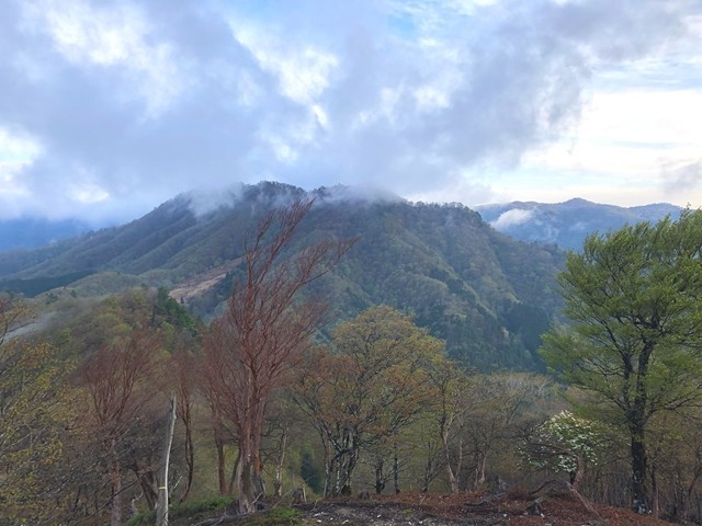 目指す池木屋山景色
