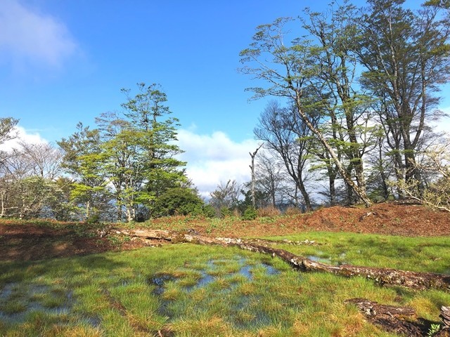 小屋池テント泊適地の様子