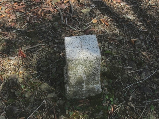 弥次平山峰詳細