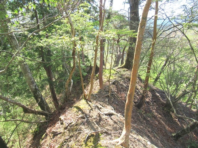 弥次平山峰から馬ノ鞍峰への縦走路様子