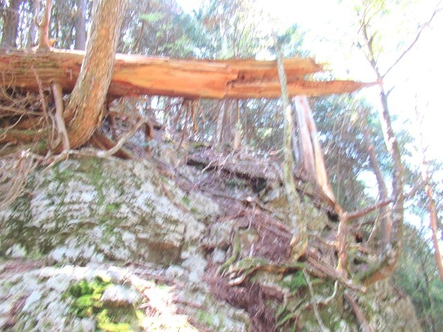 馬ノ鞍峰登山ルート台高山脈縦走路の核心部