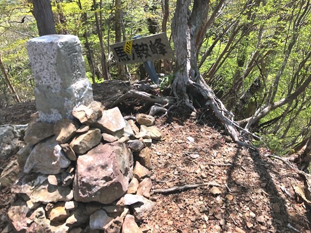 馬ノ鞍峰山頂