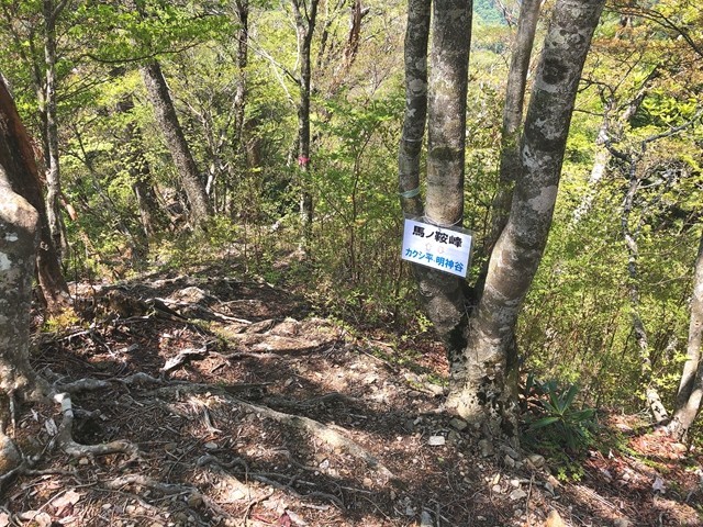 馬ノ鞍峰・カクシ平(明神谷)分岐