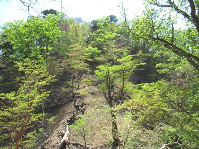 台高山脈の縦走路のアップダウンの様子