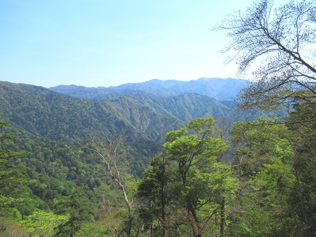 広大な台高山脈風景