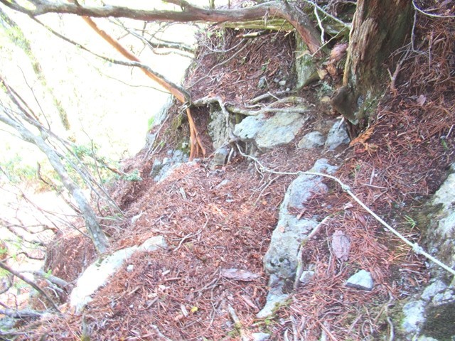 湯谷ノ頭付近の登山道詳細