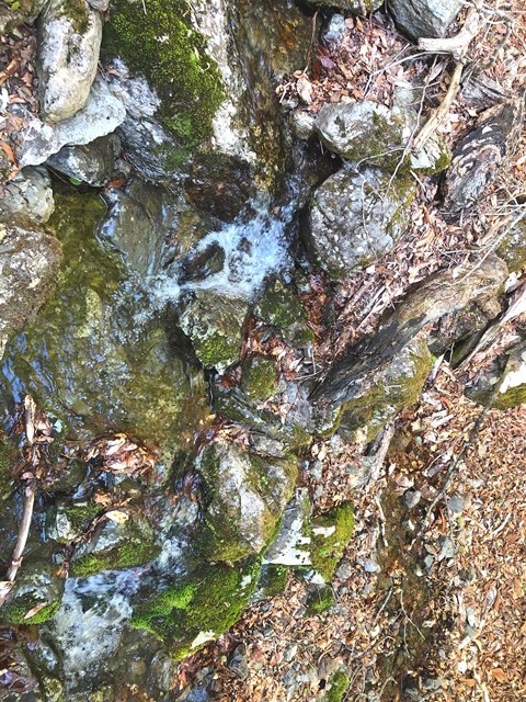 >雨量測定所周辺にテント泊適地と水場