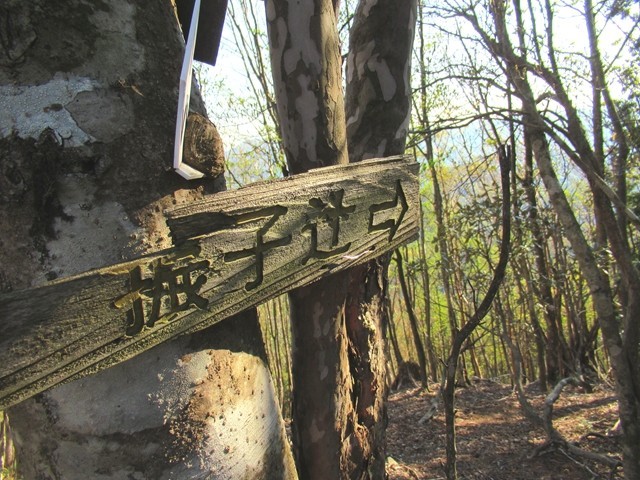 父ヶ谷の高山頂