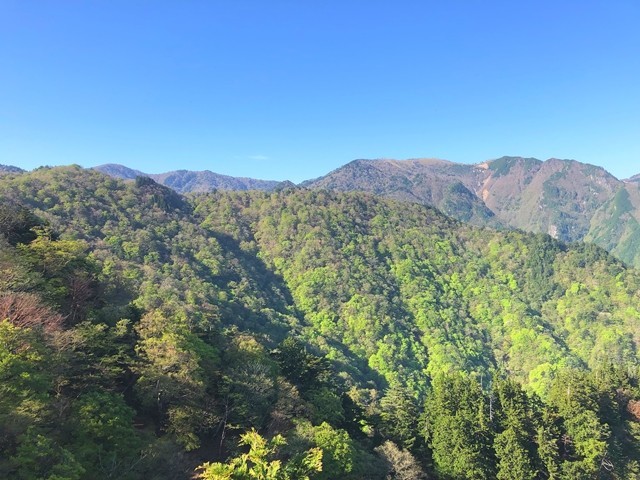 御座グラからの大台ヶ原方面の景色