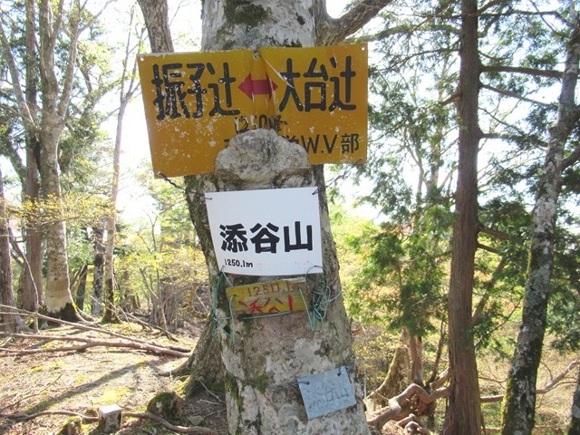 添谷山の山頂