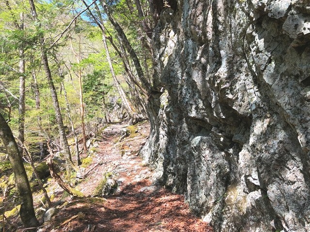 大台辻から始まる筏場道ルート詳細