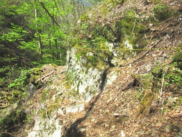 筏場道のルート大台ヶ原方面に進むにつれて道が悪くなってきた