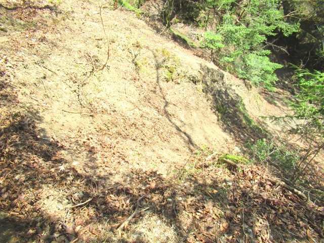 金名水の水場近くの登山道崩落個所滑落危険地帯