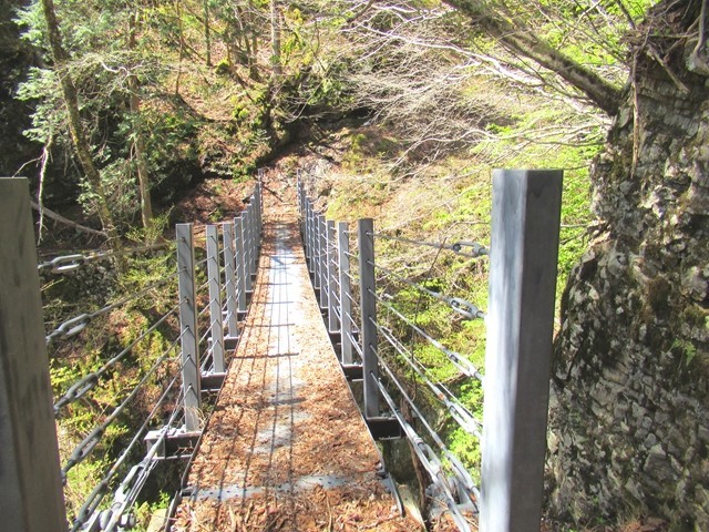 台高山脈縦走路の安心橋