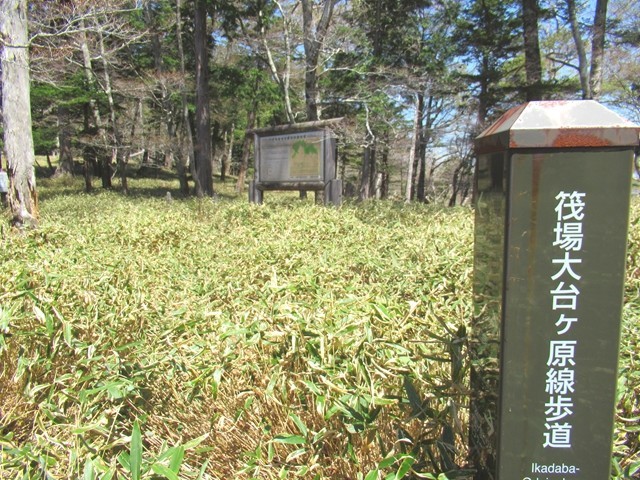 筏場大台ヶ原線歩道の入口の様子