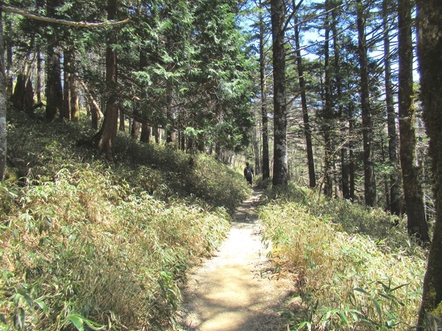 日出ヶ岳への登山道様子