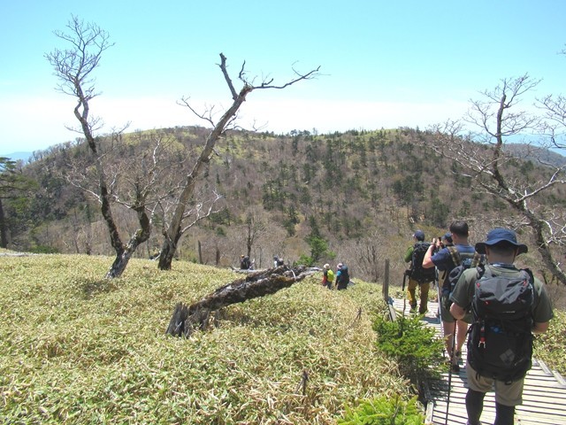 日出ヶ岳から尾鷲辻登山の様子と登山者の混雑